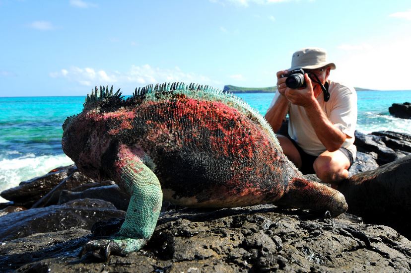 Galapagos
